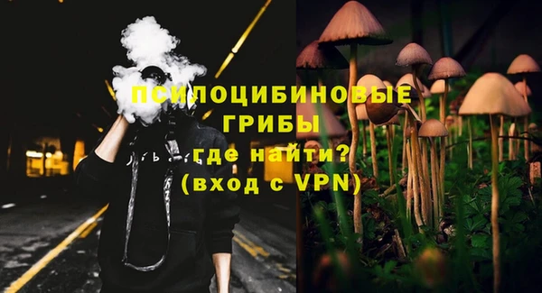 спиды Алексин